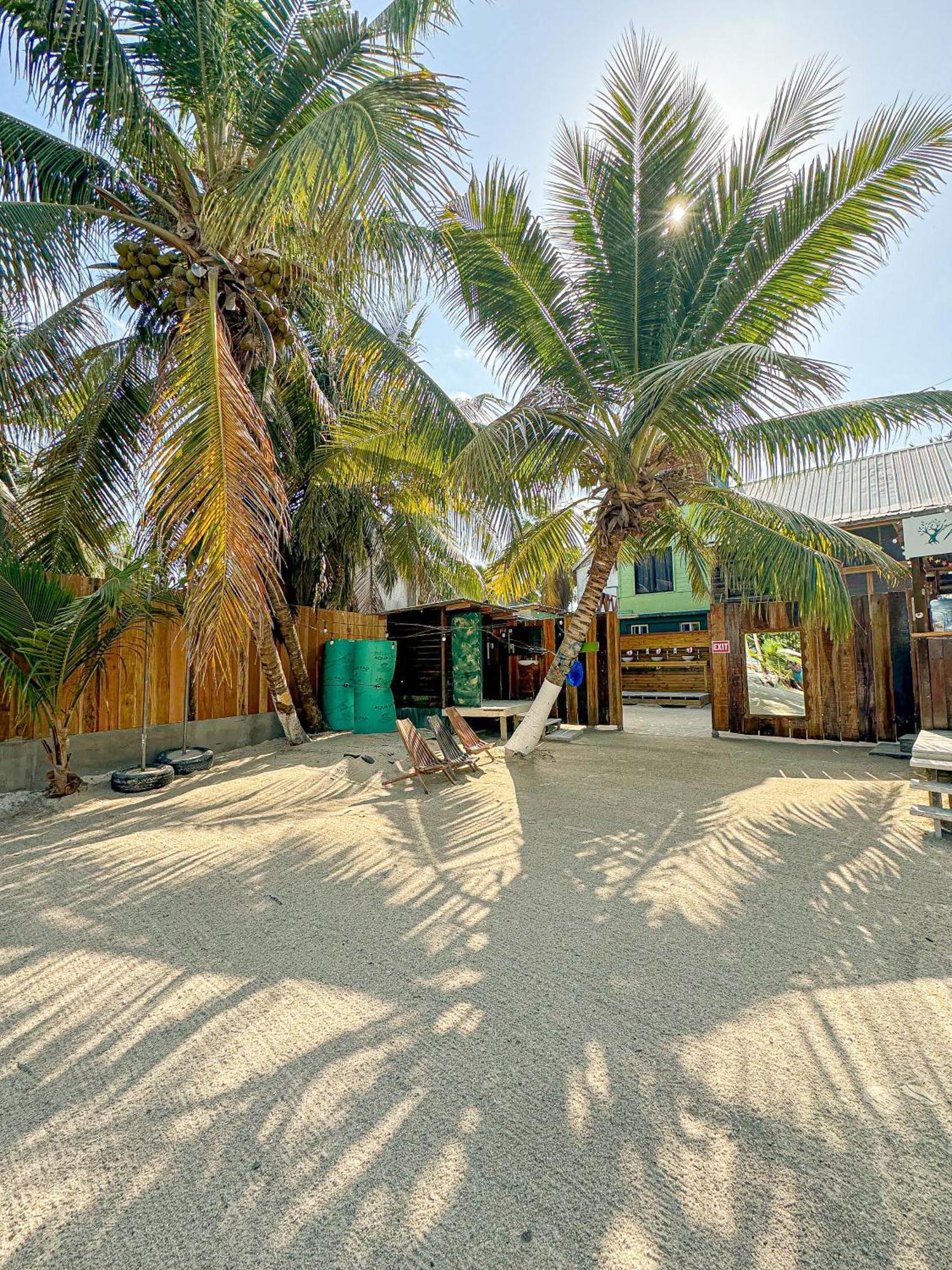 Bella'S Backpackers Hostel Cayo Caulker Exterior foto